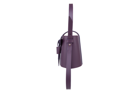 Mini Carolina Purple Dusk