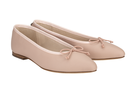Josefinas Tiptoe Rose