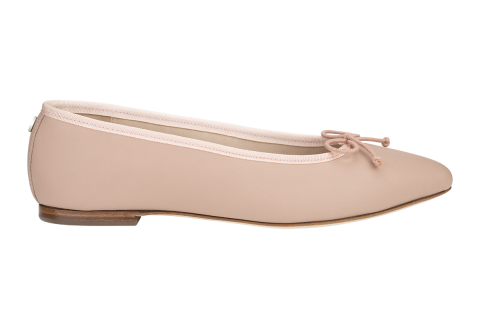 Josefinas Tiptoe Rose