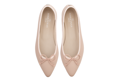 Josefinas Tiptoe Rose