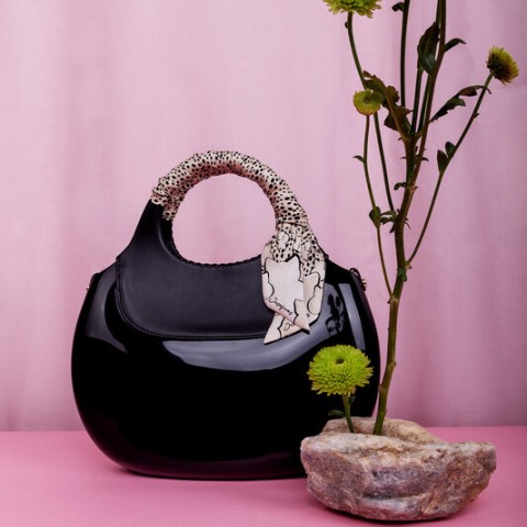 Josefinas Ficus Wild Cat 