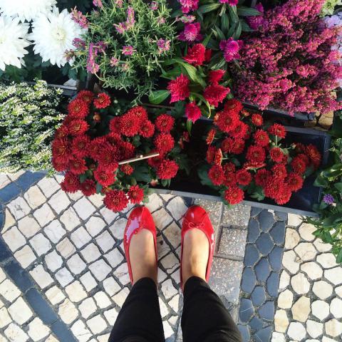 Josefinas Lisbon Red