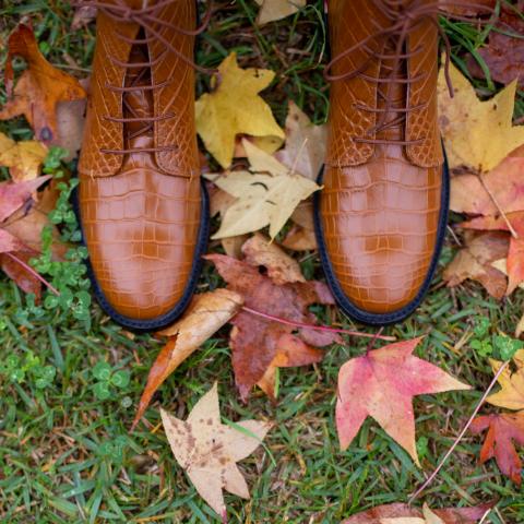 Josefinas Me&She CrocBrown Combat Boots