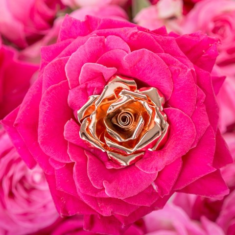 Josefinas Rose Bold Gold