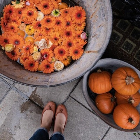 Josefinas No.1 Collection Misty High-Rise