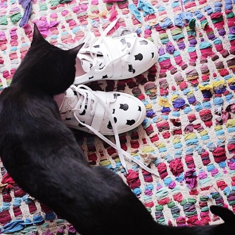 Josefinas Stay Pawsitive Pink