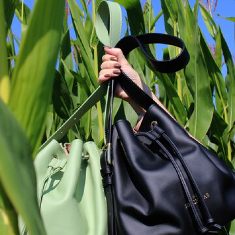 Josefinas The Optimist